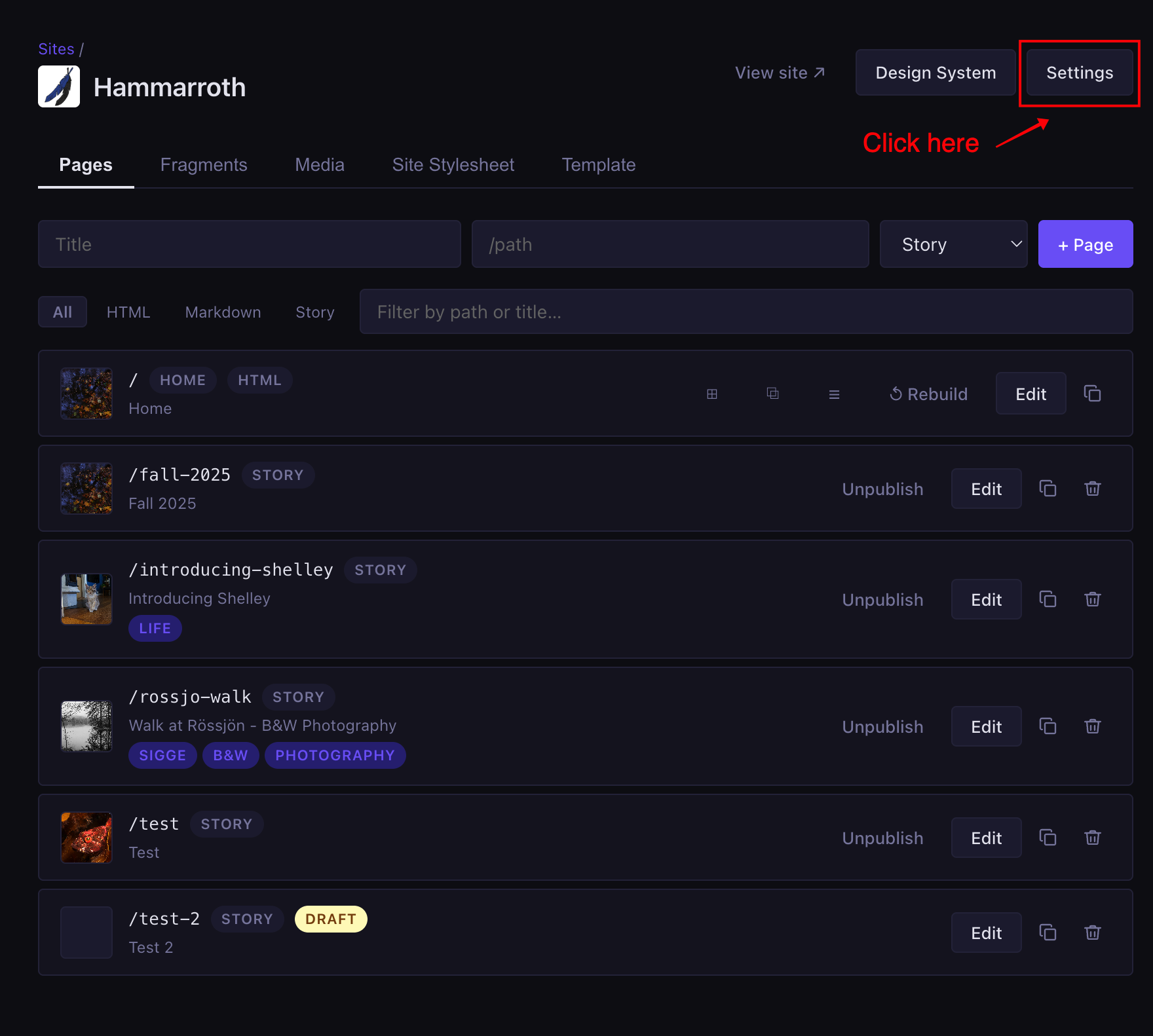Setting Custom Domain