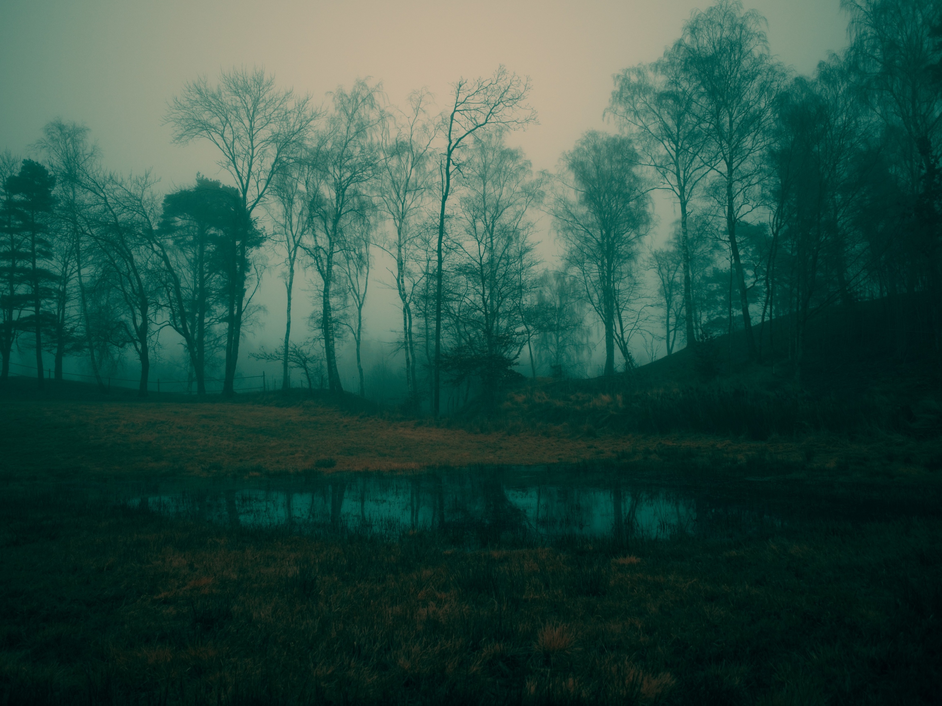 A walk in the fog