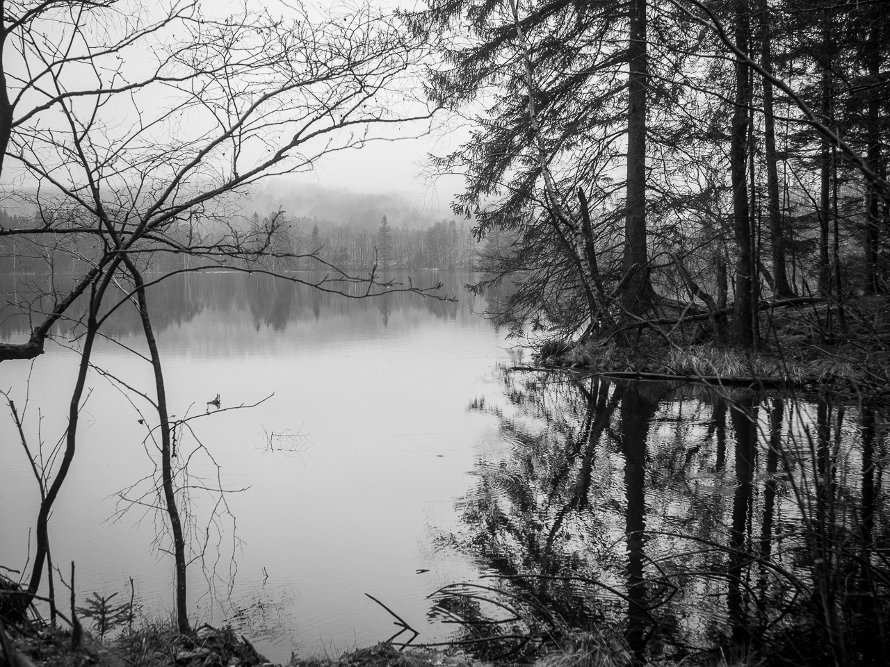 A walk around Rossjön